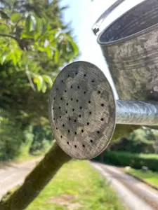 Galvanised Watering Can Hanging Wall Planter Metal Outdoor Garden Flower Pot