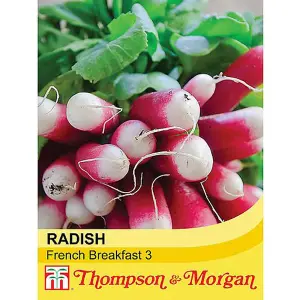 Radish French Breakfast 3 - Rhs Kids 1 Seed Packet