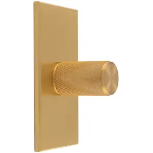 Knurled Cylinder Cabinet Door Knob & Matching Backplate - Satin Brass 76 x 40mm