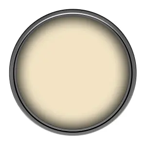 Leyland Trade Vinyl Soft Sheen Walls & Ceilings Emulsion Paint Light Ivory (RAL 1015) - 5L