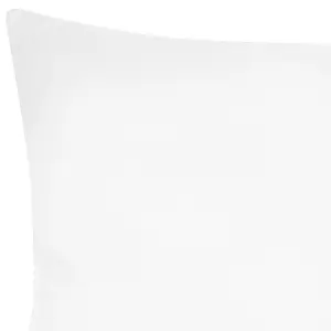 Set of 2 Pillows ERRIGAL Microfibre Low 40 x 80 cm White