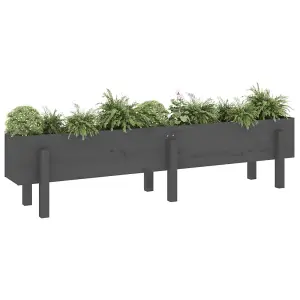 Berkfield Garden Raised Bed Grey 160x30x38 cm Solid Wood Pine