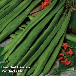 Runner Bean Scarlet Empire 1 Seed Packet (30 Seeds)