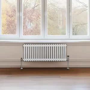 Traditional 2 Column Radiator - 300 x 1012 mm - White