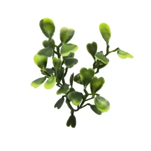 True Products Artificial Boxwood Light Green Plant Living Wall Panel 50cm x 50cm