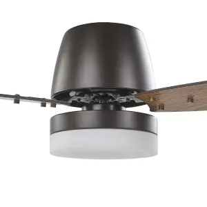 Ceiling Fan with Light Black MLAVA