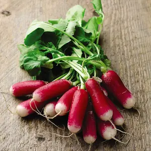 Radish Flamboyant 3 1 Seed Packet