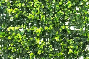 Primrose Dark Buxus Artificial Hedge Garden Patio Panels 50cm x 50cm