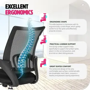 Office Chair Marius - ergonomic shape, lumbar support, comfortable padding - black