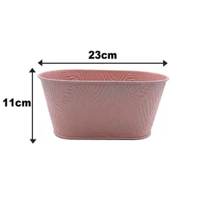 Metal Trough 2pcs Planter Pastel Pink 1.5L Herbs Plants Flowers Oval Decor Pots