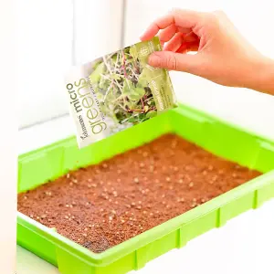 Grow Your Own Microgreens Full Kit  Seed Propagator Gardening Gift Set  Harvest in up to 2 Weeks. Seeds Included