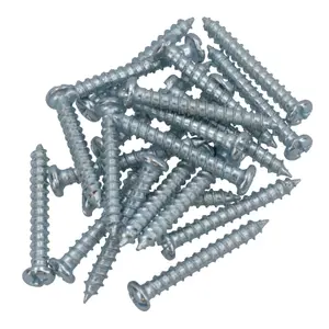 Self Tapping Screws PH2 Drive 4mm (width) x 30mm (length) Fasteners 22pcs