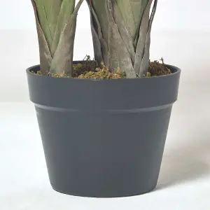 Homescapes Bird of Paradise Plant in Pot, 120 cm Tall