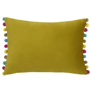 Paoletti Fiesta Velvet Feather Rich Cushion