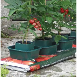 Tomato & Vegetable Growbag Pots (Set of 12)