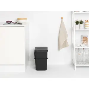 Brabantia Sort and Go 25 Litre Rubbish Bin Grey