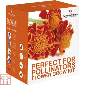 Pollinators Flower Seed Grow Kit - 1 Pack