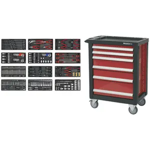 Premium 6 Drawer Tool Rollcab with 298 Piece Comprehensive Tool Kit