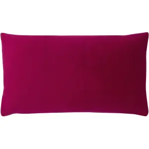 Paoletti Sunningdale Rectangular Velvet Feather Filled Cushion