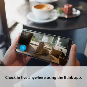 Blink Wi-fi Indoor Swivel & tilt Smart camera in White, Pack of 2