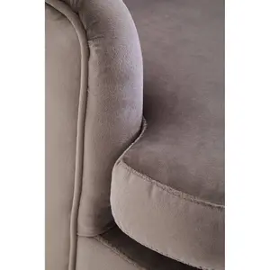 Interiors by Premier Mink Velvet Armchair, Built to Last lounge chair, Easy to Maintain Velvet Chair, Reliable Armchair