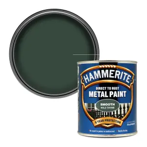 Hammerite Wild thyme Gloss Exterior Metal paint, 750ml