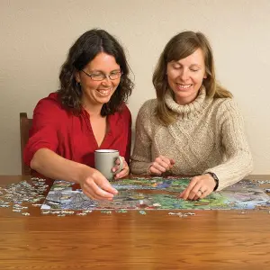 Birds of the Season Jigsaw Puzzle 1000 Pieces