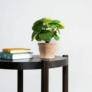 Blooming Artificial - 25cm / 0.75ft Artificial Pilea Bush