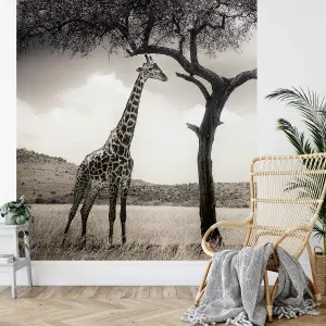 Giraffe Safari Mural - 192x260cm - 5084-4