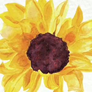 Sunflower - Wrapped Canvas Painting 51cm H x 51cm W x 3.8cm D