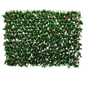 GreenBrokers Expanding Green & Red Foliage Willow Trellis (1m x 2)