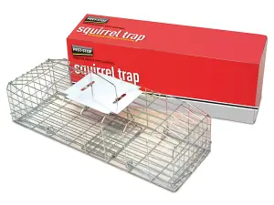 Procter Pest-Stop Squirrel Trap