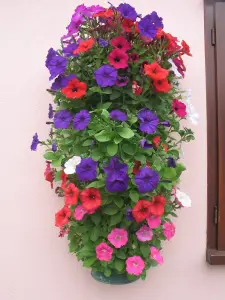 Wall Mounted Flower Tower Hold 14 Plants