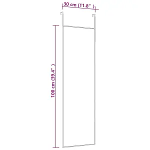 Berkfield Door Mirror Gold 30x100 cm Glass and Aluminium