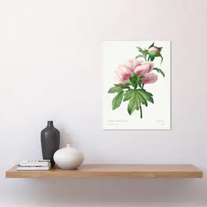 Vintage Pink Peony Bloom Illustration Flowers - Single Picture Frame Print Unframed / 40.5cm H x 30.5cm W x 0.2cm D