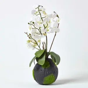 Homescapes White Phalaenopsis Artificial Orchid with Natural Base, 60 cm Tall