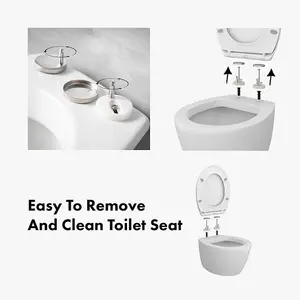 Soft Close Anti Bacterial Toilet Seat With Easy Release