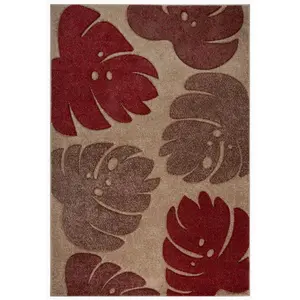 Melrose Carved Trellis Leaf Design Medium Indoor Area Rug 80/150cm