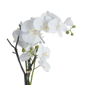 UK Homeliving White Orchid In Stone Pot