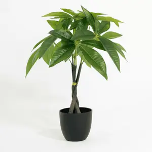 Blooming Artificial - 45cm / 1.5ft Faux Pachira