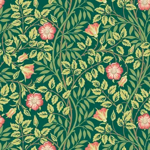 Hoopla Walls Rosehip Trail Forest Green Smooth Matt Wallpaper