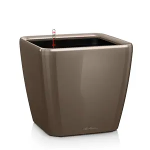 LECHUZA QUADRO LS 21 Shiny Taupe Table Self-watering Planter with Substrate and Water Level Indicator H20 L21 W21 cm, 9L