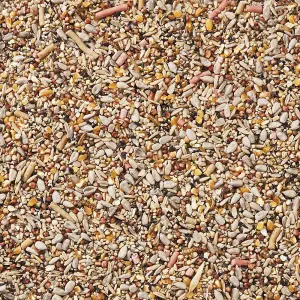 Happy Beaks Premium Wild Bird Food Spring & Summer Seed Mix High Energy Feed (5kg)