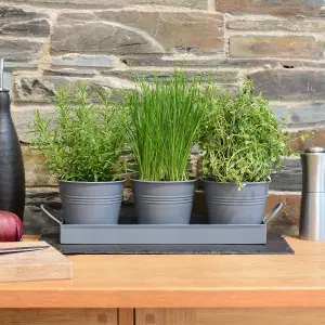 Set of 3 Metal Herb Plant Pots with Saucer Tray Indoor Windowsill Kitchen Planter (Charcoal Grey)