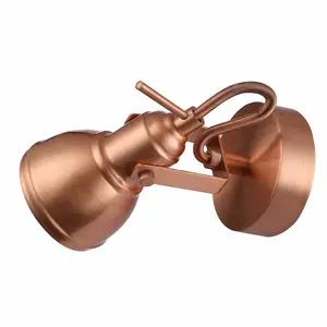 Lentz Unique Industrial Designed Switched Wall Spot Light Copper