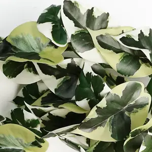 40cm Artificial Trailing Variegated Marble Pothos Plant Realistic