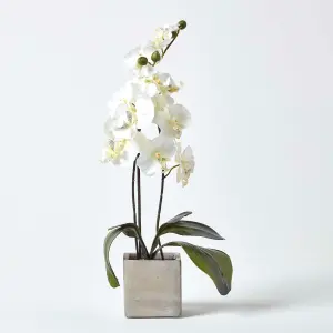 Homescapes Set of 2 Artificial Burgundy & Cream Orchids in Stone Pots, 57 cm