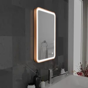 Harper & Harlow 400x600 Vela Brushed Brass LED Illuminated Bathroom Mirror