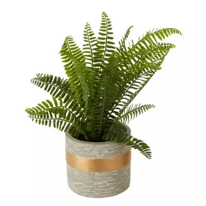 Fiori Boston Fern Succulent Artificial Plant Foliage