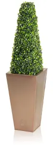 Artificial Topiary Tree The Buxus Obelisk 60cm